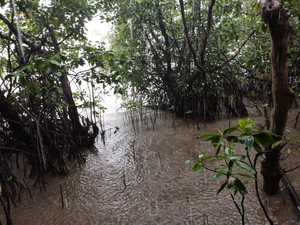 Photo of Travel diary by SREEKANTH