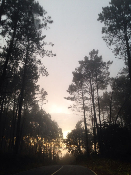 Photo of Road trip to Spain 6/19 by Shilpa Purushotham