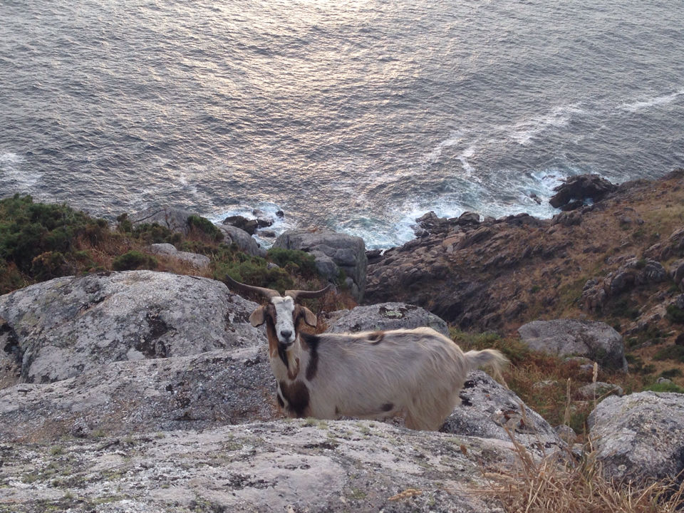 Photo of Road trip to Spain 8/19 by Shilpa Purushotham