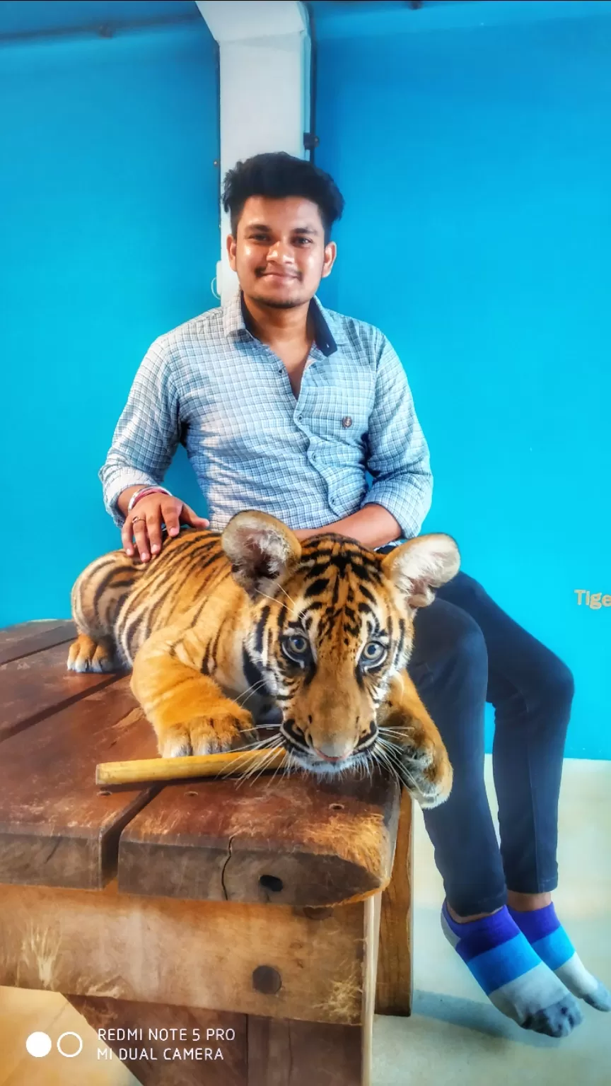 Photo of #Tigerpark #pattaya #Bangkok by Travel with Chirag
