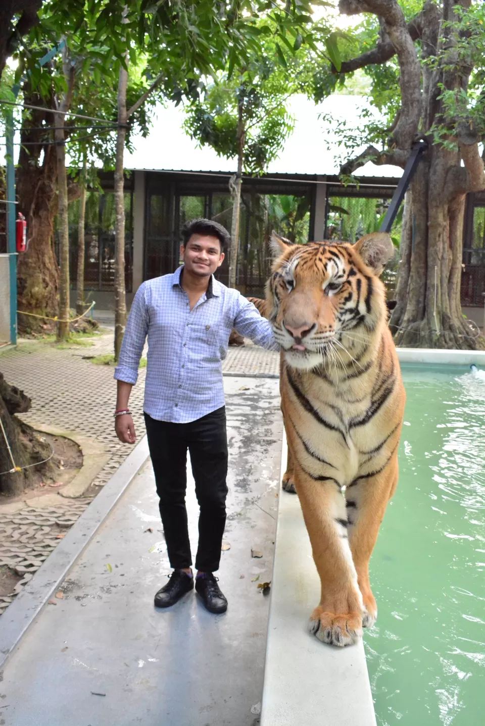Photo of #Tigerpark #pattaya #Bangkok by Travel with Chirag