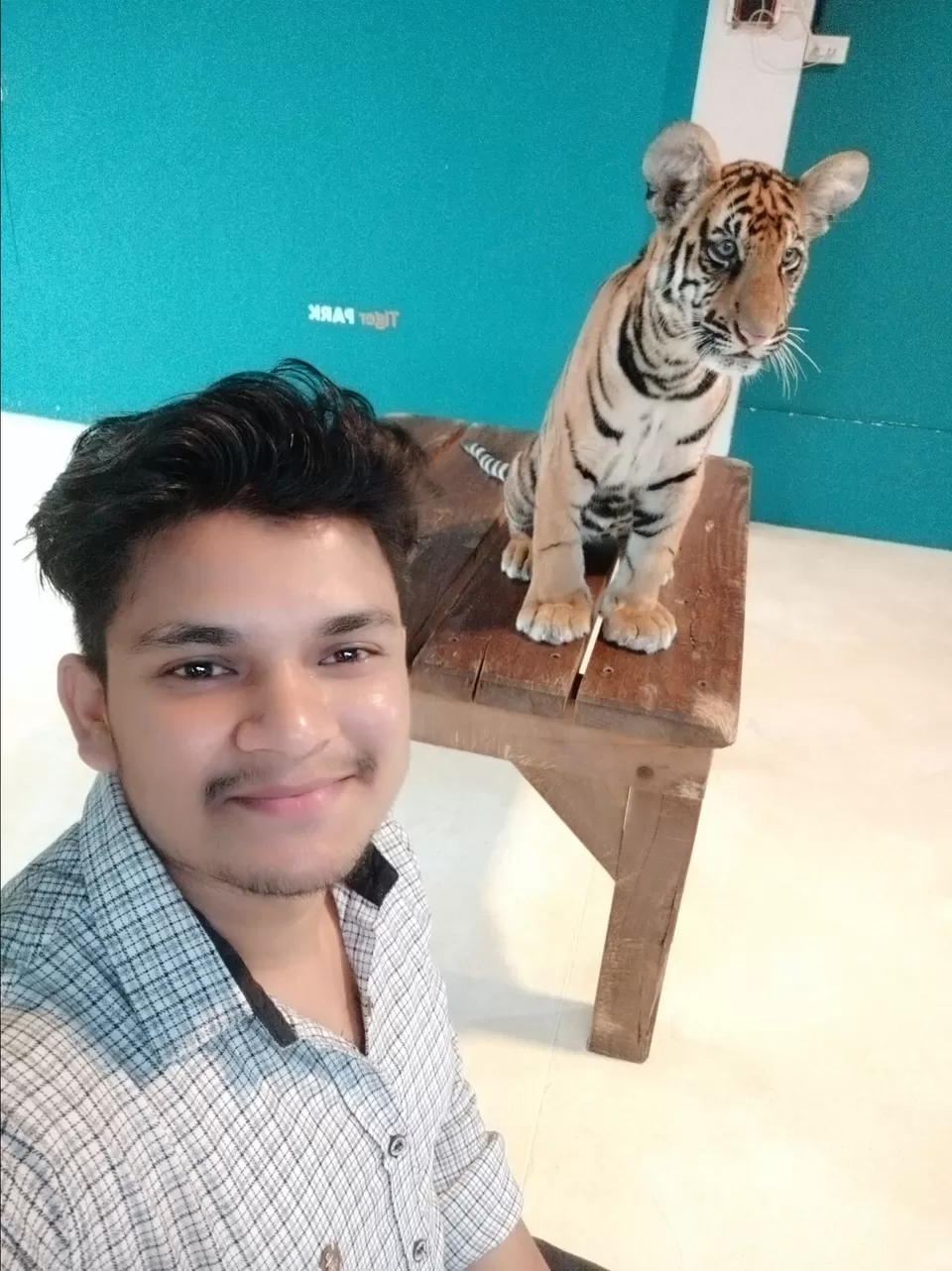 Photo of #Tigerpark #pattaya #Bangkok by Travel with Chirag