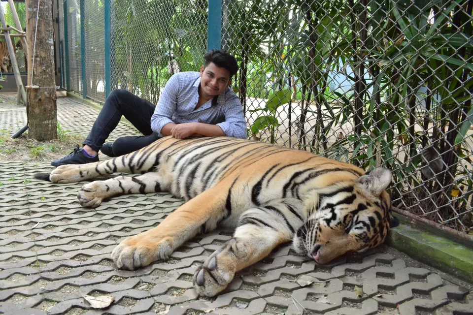 Photo of #Tigerpark #pattaya #Bangkok by Travel with Chirag