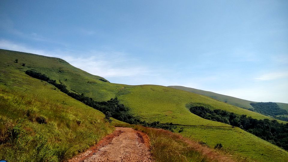 Photo of Chikmagalur – Where the grass is always greener! 5/7 by Abhishek Johri