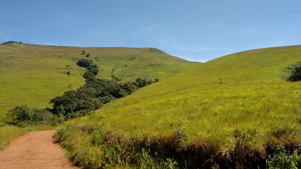 Photo of Chikmagalur – Where the grass is always greener! 6/7 by Abhishek Johri