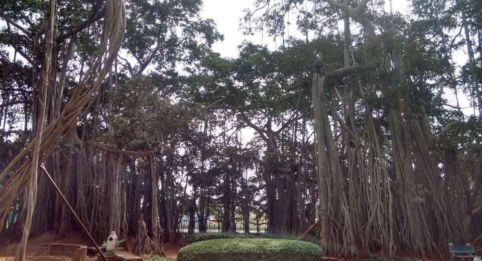Photo of 8 places around Bangalore which keep me busy by Abhishek Johri