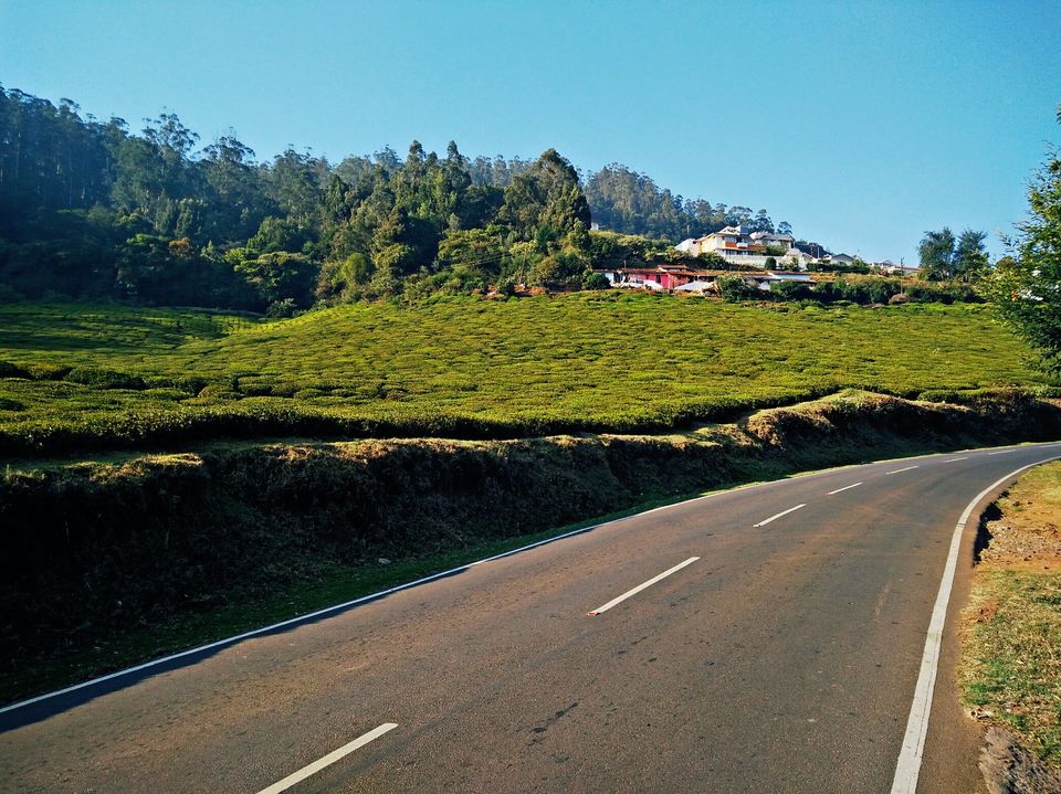Photo of Wandering solo - Ooty 2/12 by Abhishek Johri