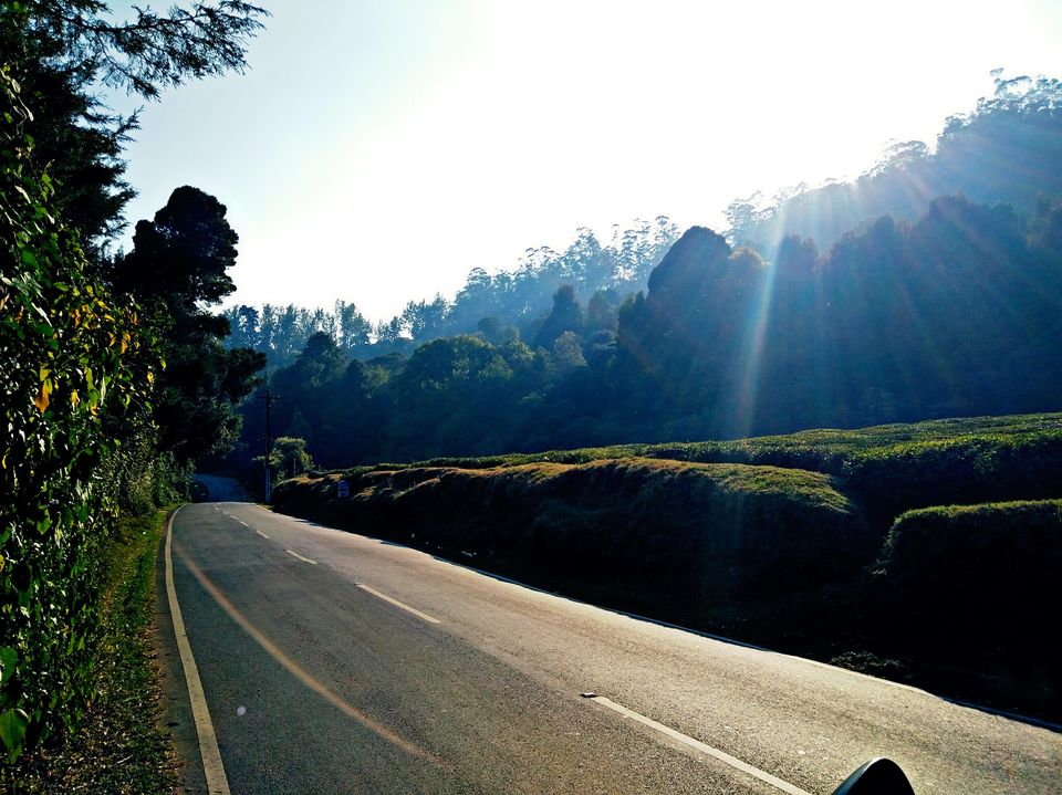 Photo of Wandering solo - Ooty 5/12 by Abhishek Johri