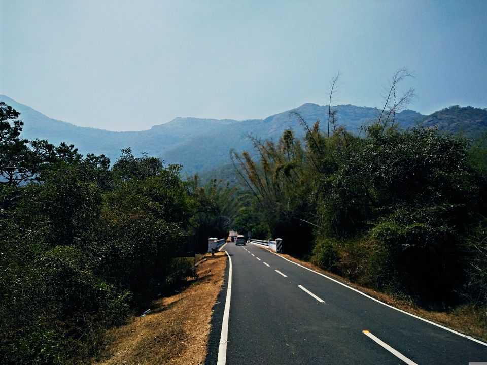 Photo of Wandering solo - Ooty 7/12 by Abhishek Johri