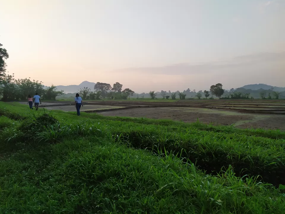 Photo of Adventures in Ella, Sri Lanka by Chathurika Jinadasa