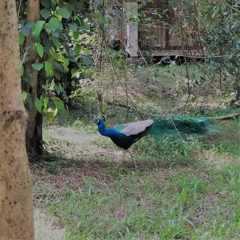 Photo of Adventures in Ella, Sri Lanka by Chathurika Jinadasa