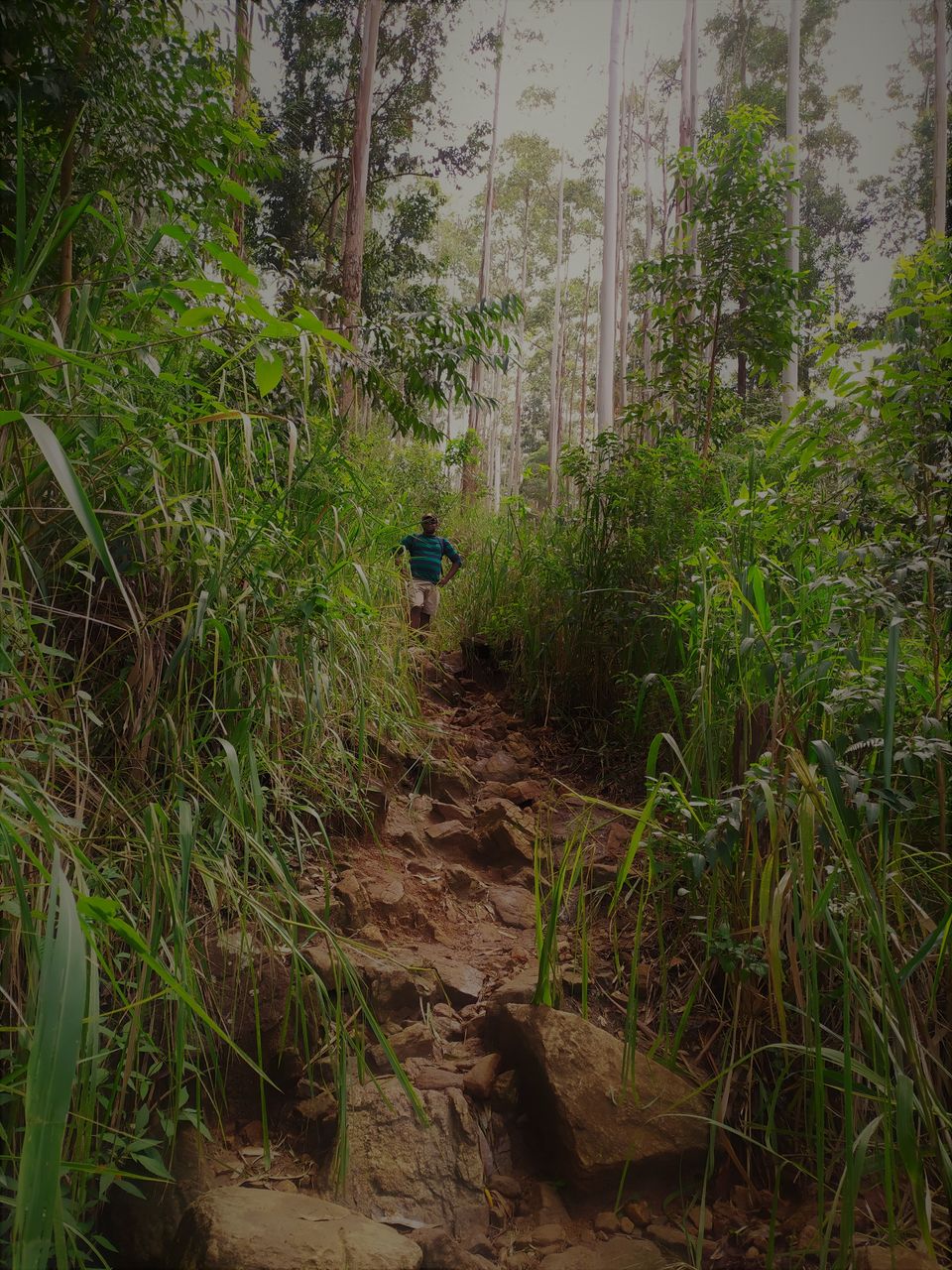 Photo of Adventures in Ella, Sri Lanka by Chathurika Jinadasa