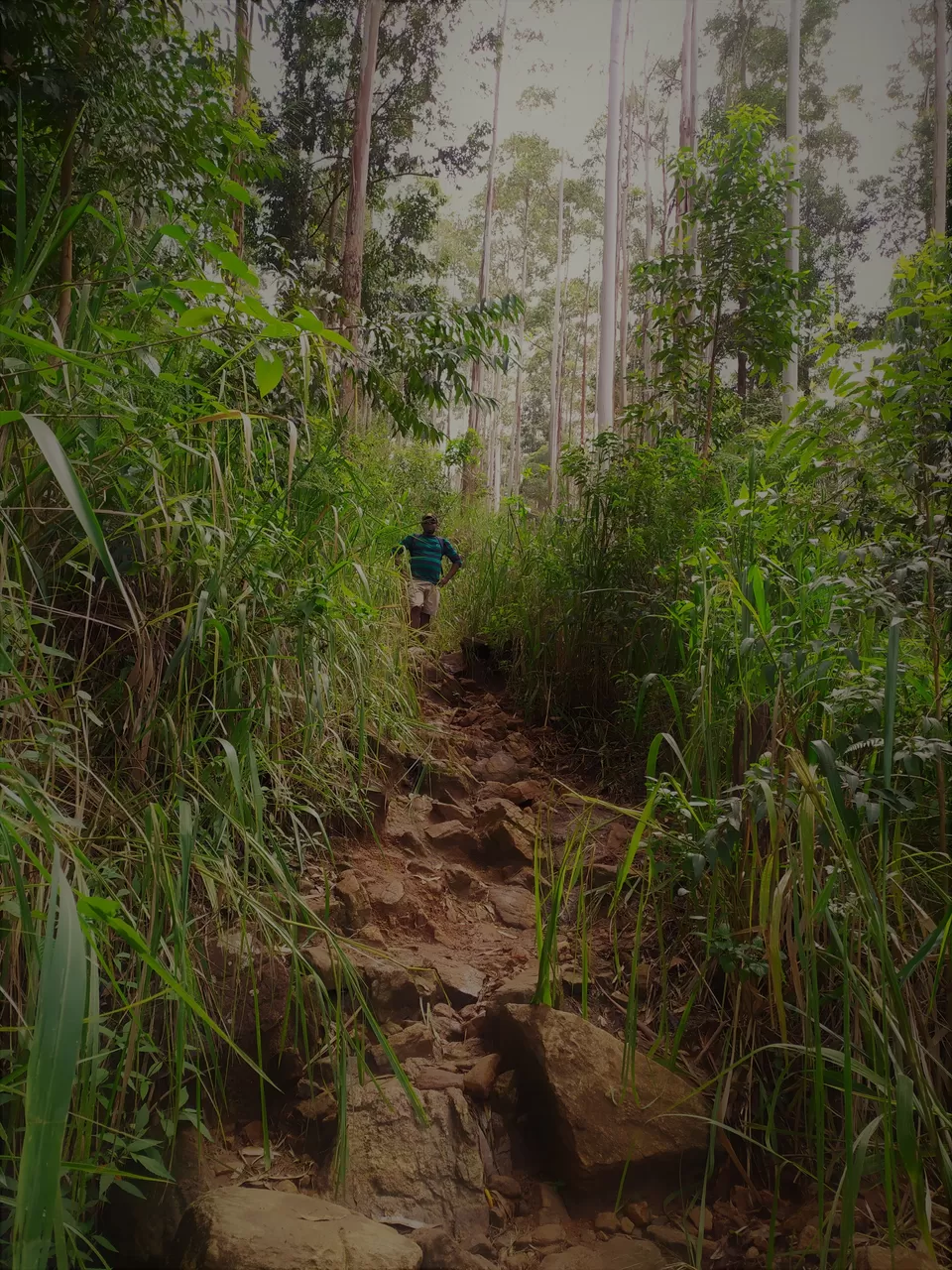 Photo of Adventures in Ella, Sri Lanka by Chathurika Jinadasa