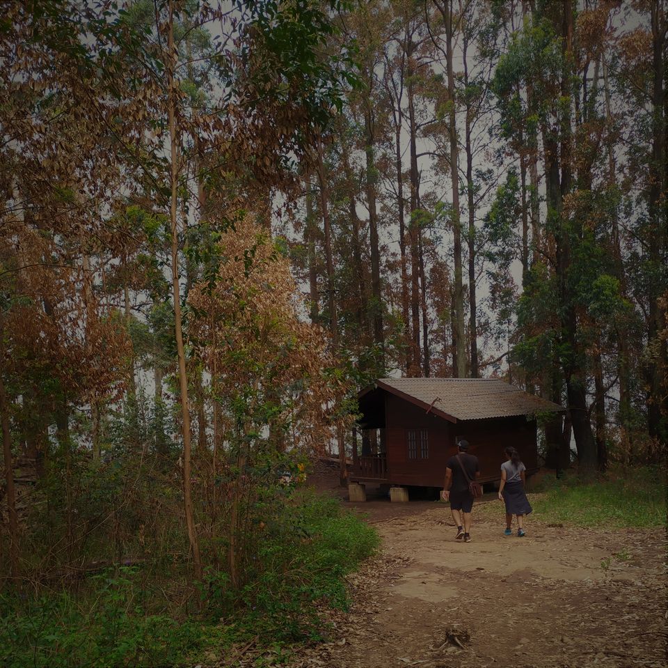 Photo of Adventures in Ella, Sri Lanka by Chathurika Jinadasa
