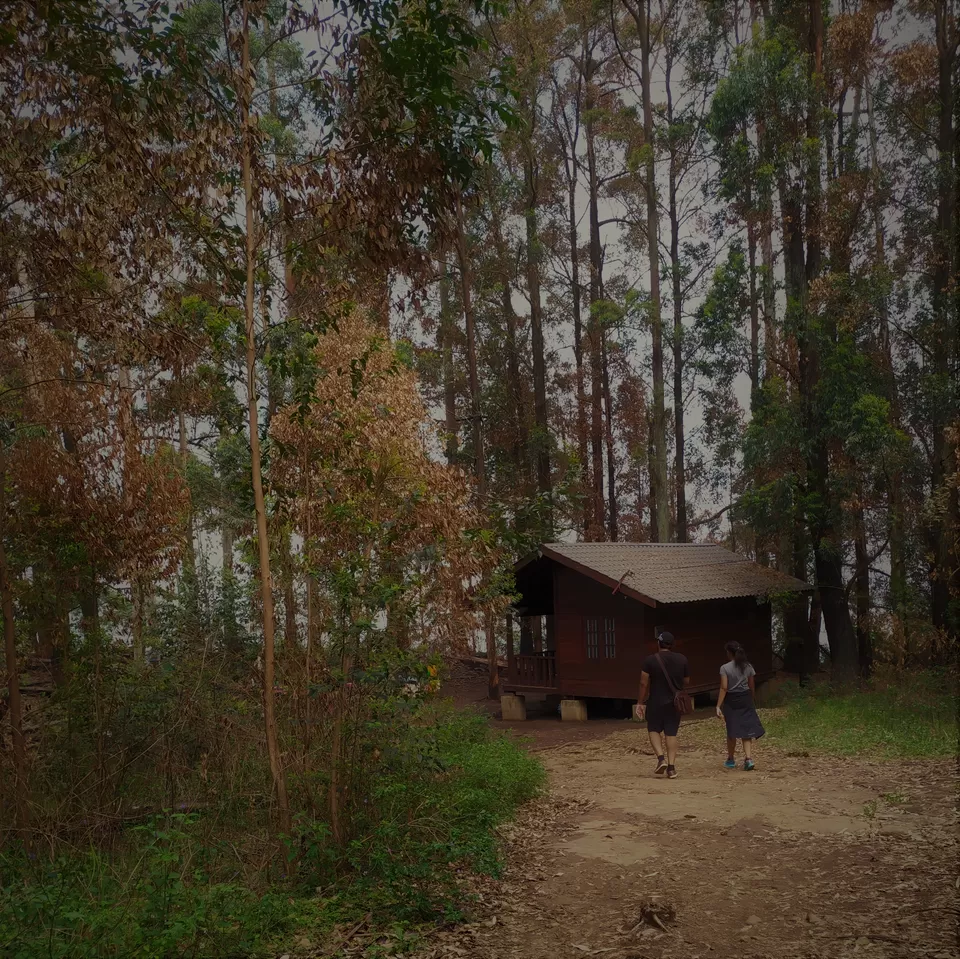 Photo of Adventures in Ella, Sri Lanka by Chathurika Jinadasa