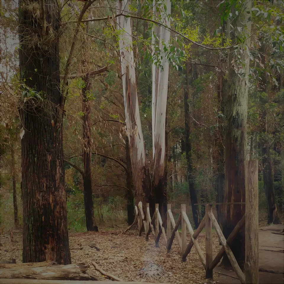 Photo of Adventures in Ella, Sri Lanka by Chathurika Jinadasa