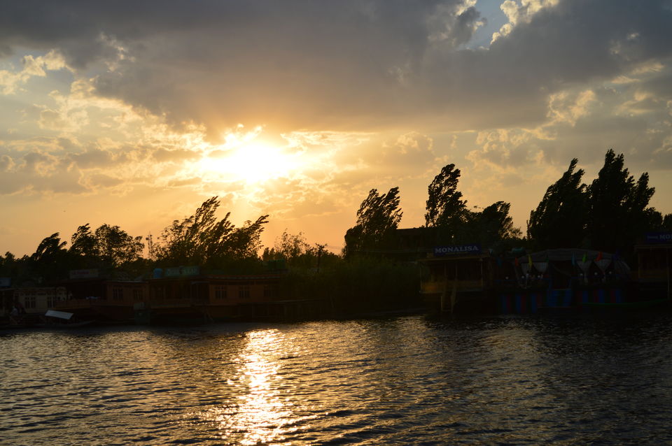 Photo of Stupendous Srinagar 6/6 by Pooja Sundrani