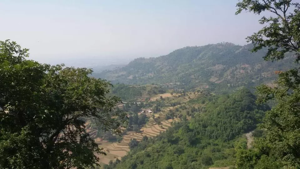 Photo of टिक्कर ताल by Rajwinder Kaur