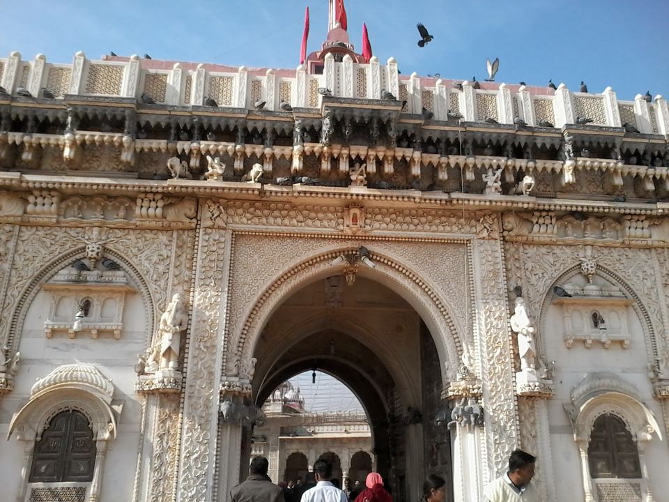 Photo of जहां चूहों को होती है पूजा, मानते है पवित्र ऐसा मंदिर है करणी माता का by Rajwinder Kaur