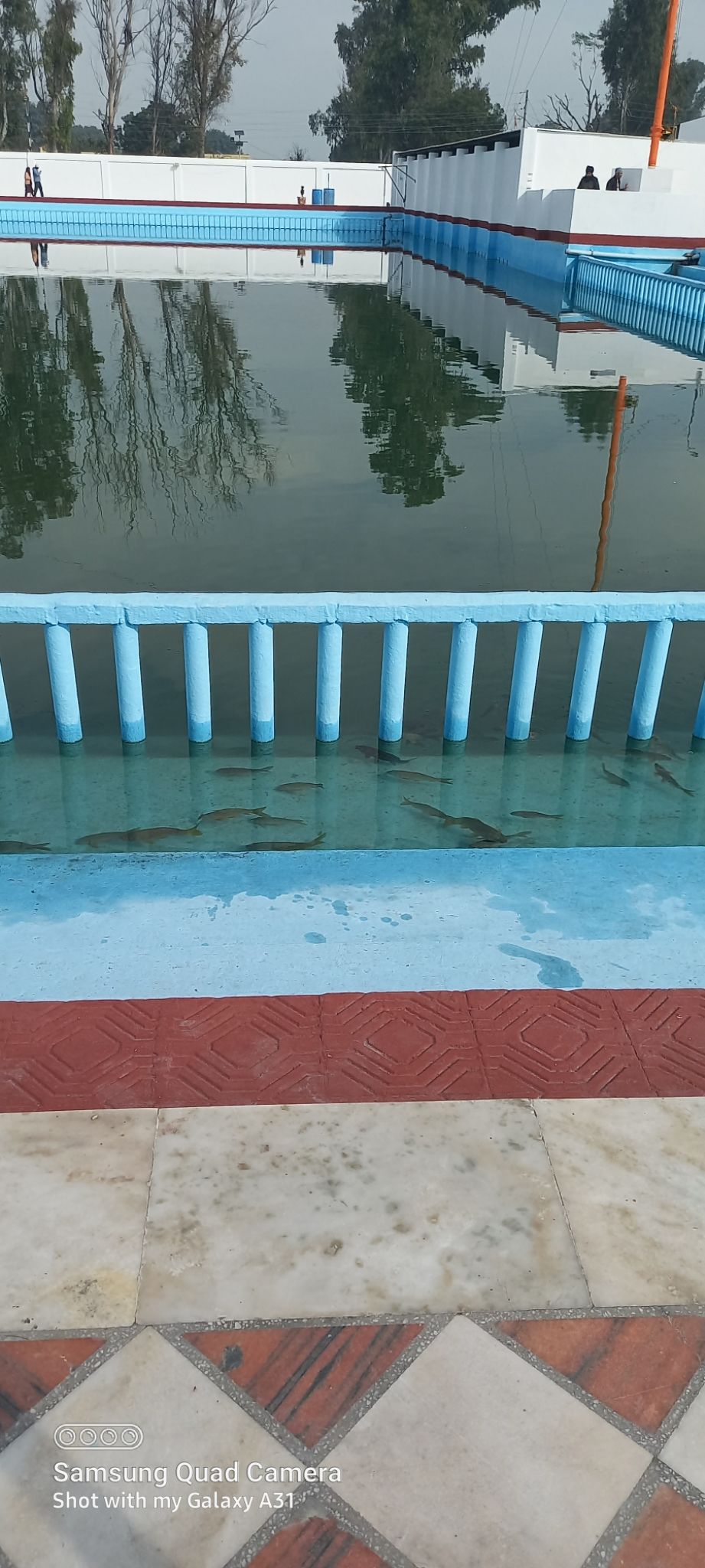 Photo of तीन गुरुद्वारा साहिब का सुमेल पंजाब का एक ऐतिहासिक स्थान तख्तूपुरा साहिब by Rajwinder Kaur