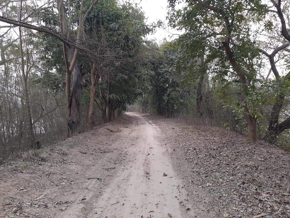 Photo of उत्तर भारत का सबसे बड़ा वेटलैंड, परवासी पंछियों का सर्दियों का रहन बसेरा by Rajwinder Kaur