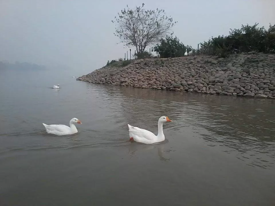 Photo of 10 famous and attractive tourist places of city beautiful Chandigarh by Rajwinder Kaur