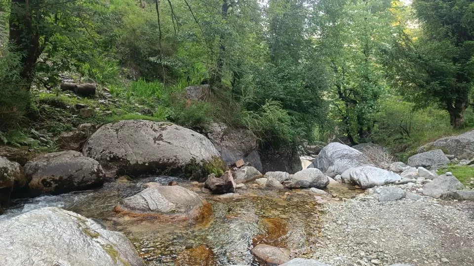 Photo of महाभारत काल की माता हडिंबा के भाई का प्राचीन गांव जहां है tripoto का माइंडफुल रिट्रीट misty wild by Rajwinder Kaur
