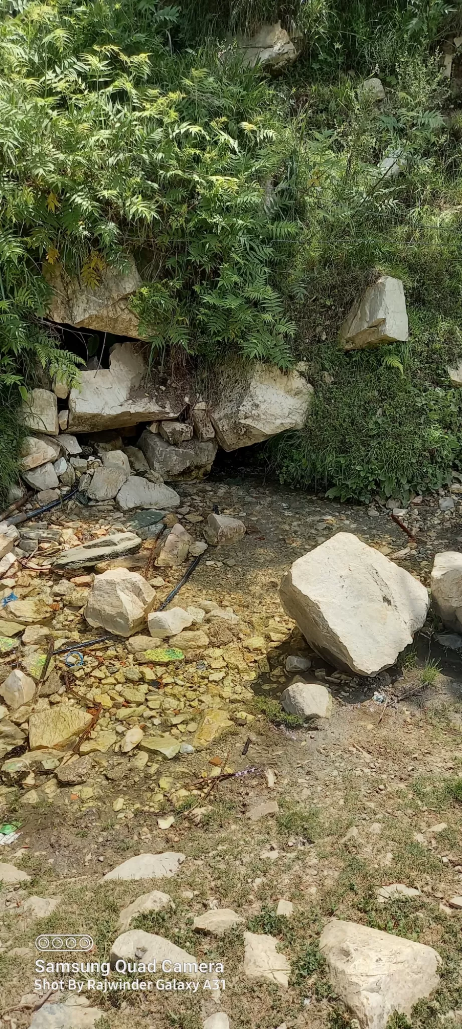 Photo of महाभारत काल की माता हडिंबा के भाई का प्राचीन गांव जहां है tripoto का माइंडफुल रिट्रीट misty wild by Rajwinder Kaur