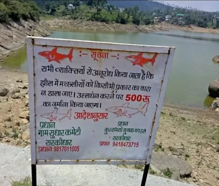 Photo of हिमाचल की पहाड़ियों में खूबसूरत झील के इधर उधर बसा रिवालसर by Rajwinder Kaur