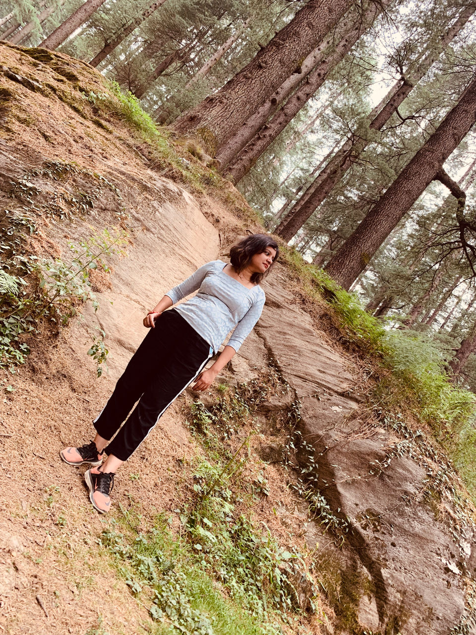 Photo of Manali, Himachal Pradesh, India by Shafali Agarwal