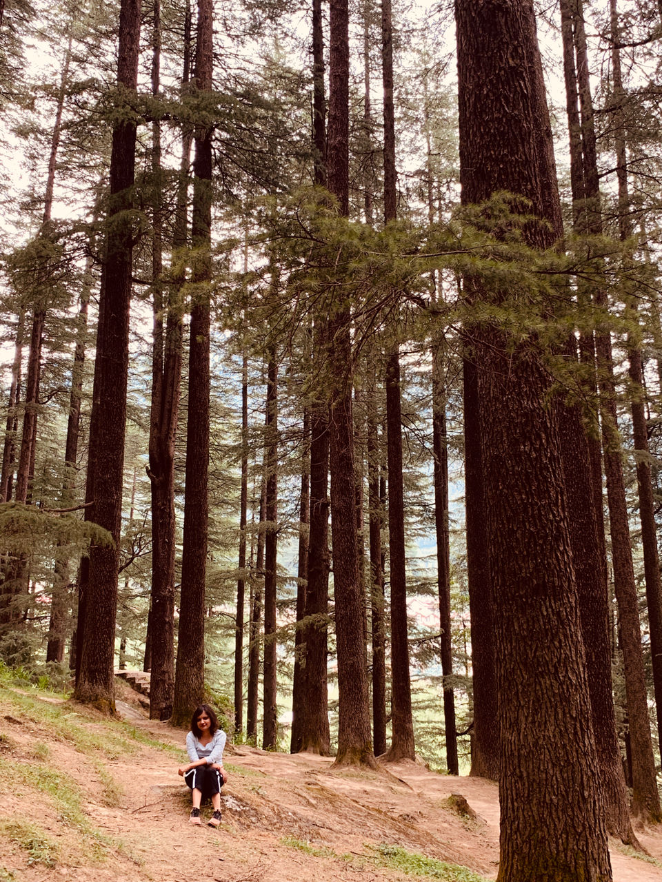 Photo of Manali, Himachal Pradesh, India by Shafali Agarwal