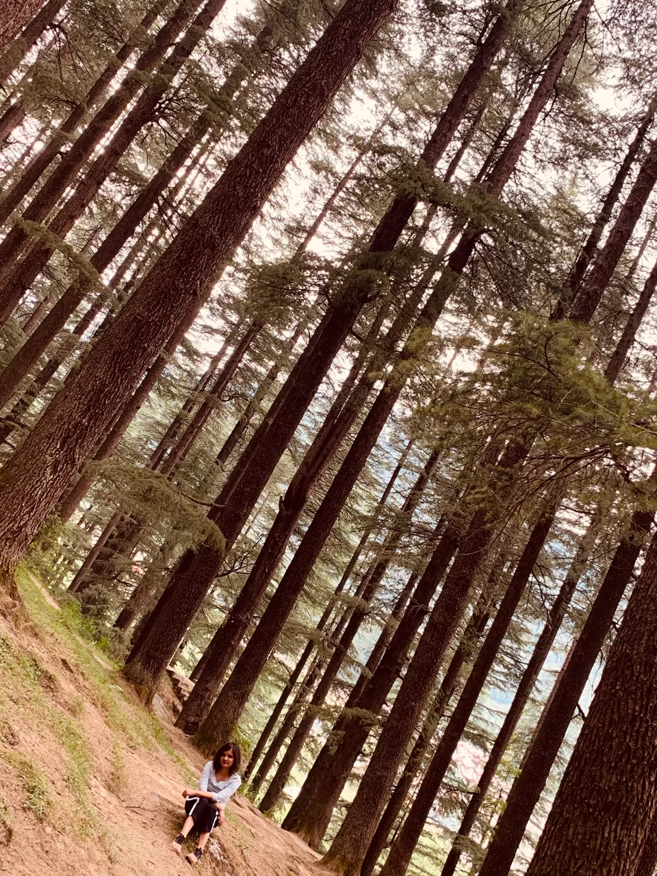 Photo of Log Huts Area Road, Old Manali, Manali, Himachal Pradesh 175131, India by Shafali Agarwal