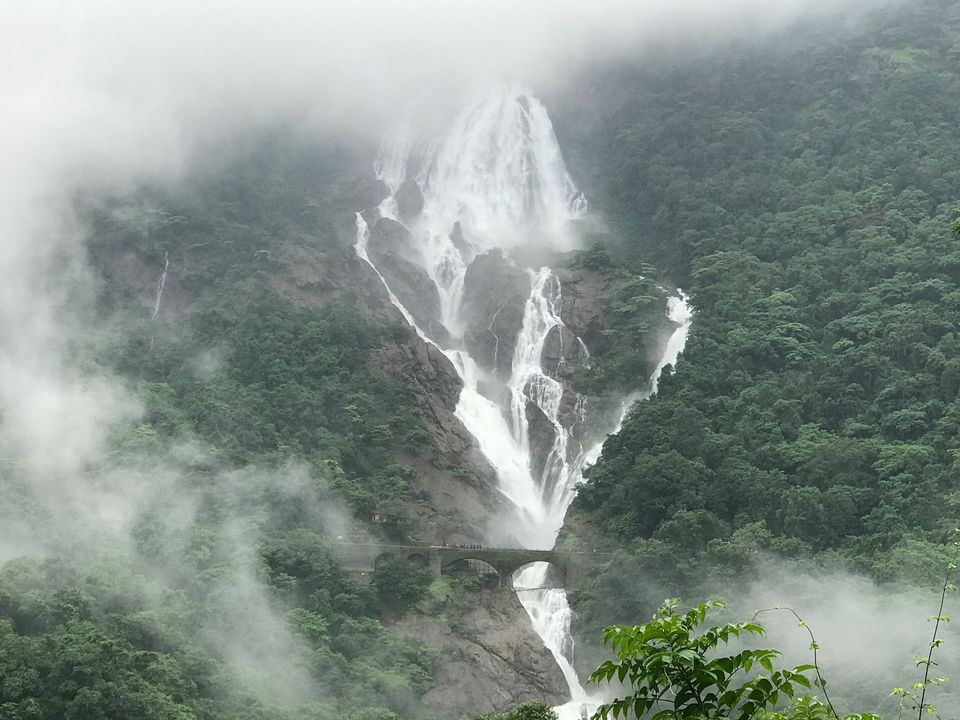 Photo of Trekking story of Dhudsagar waterfalls by Shafali Agarwal