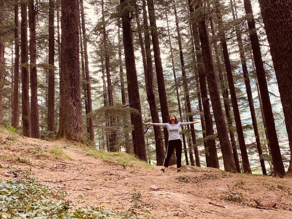 Photo of A day in Manali ! by Shafali Agarwal