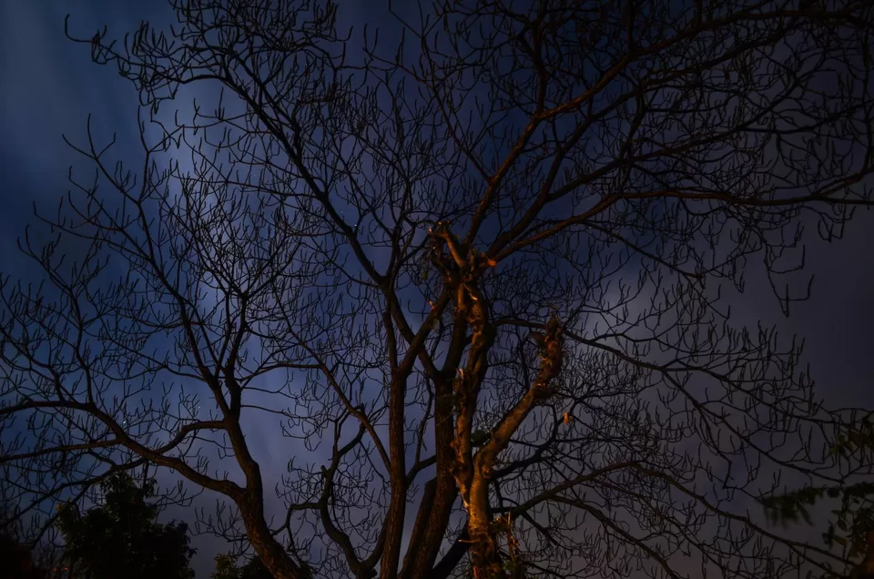 Photo of Mussoorie by Siddhant Sharma