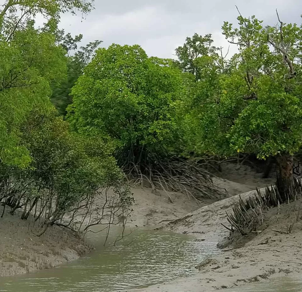Photo of Sundarban, West Bengal, India by Wanderlust_Dr