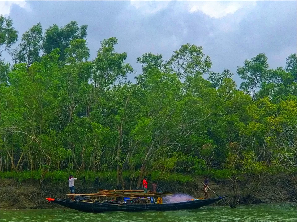 Photo of Sundarban, West Bengal, India by Wanderlust_Dr