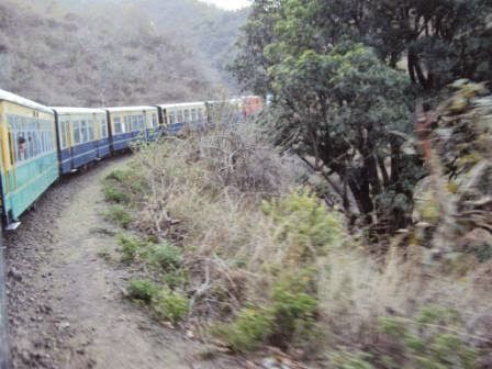 Photo of Never Underestimate the Cold- Shimla by Misthi