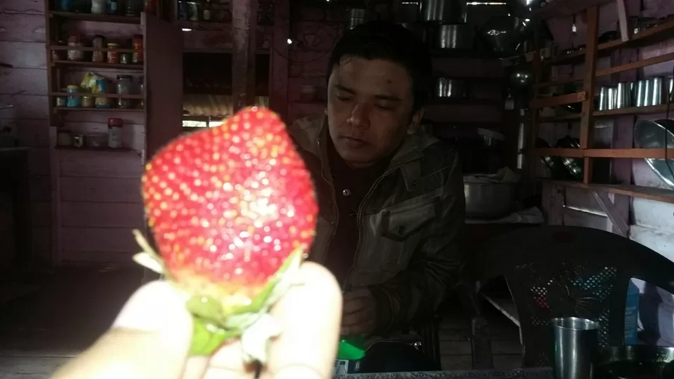 Photo of रोड, Samsing Tea Garden, West Bengal 735223, India by Oshan Lepcha