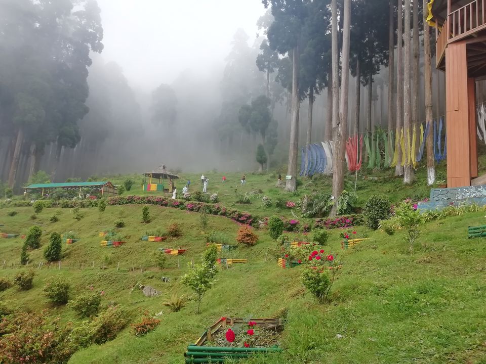 Photo of Darjeeling - Tinchulley -Lamahatta itinerary 4 days 3 nights by Gypsy