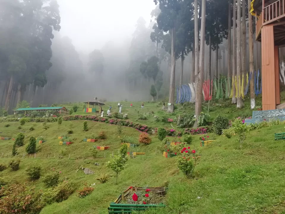 Photo of Darjeeling - Tinchulley -Lamahatta itinerary 4 days 3 nights by Gypsy