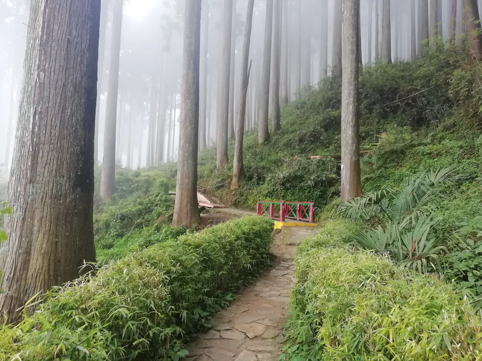 Photo of Darjeeling - Tinchulley -Lamahatta itinerary 4 days 3 nights by Gypsy