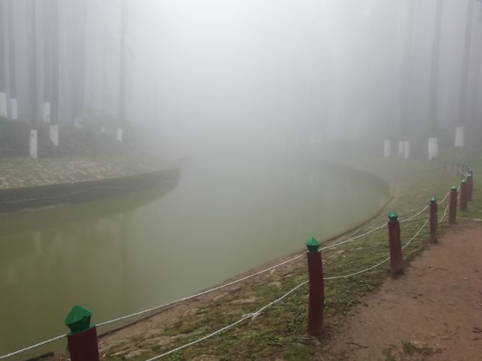 Photo of Darjeeling - Tinchulley -Lamahatta itinerary 4 days 3 nights by Gypsy