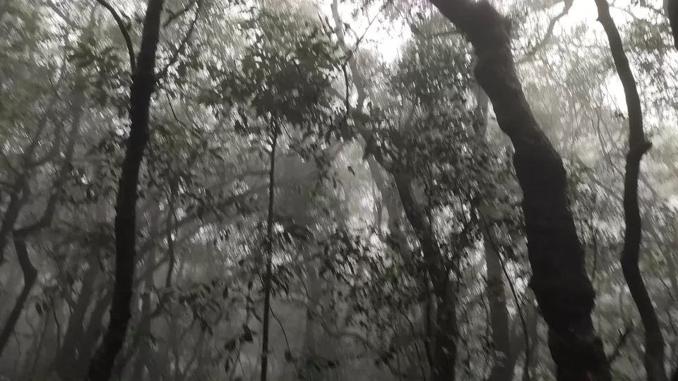 Photo of Matheran trek by Arun beat