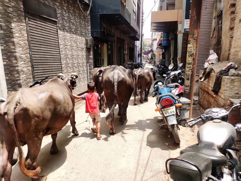 Photo of Varanasi, Uttar Pradesh, India by Arun Soni