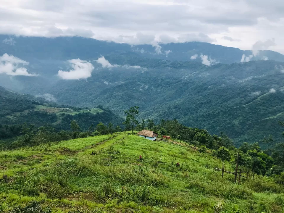 Photo of Bagdogra, West Bengal, India by Nagi Reddy Kaipu