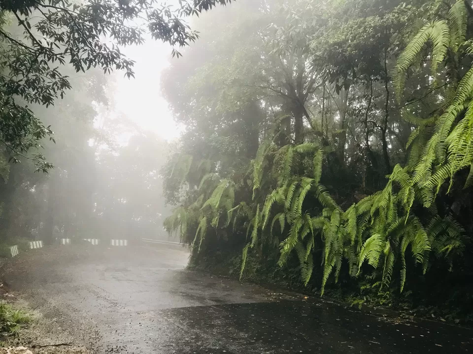 Photo of Bagdogra, West Bengal, India by Nagi Reddy Kaipu