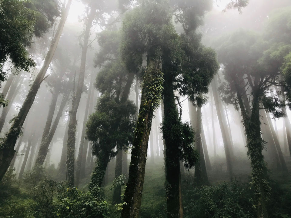 Photo of Ghoom, West Bengal, India by Nagi Reddy Kaipu