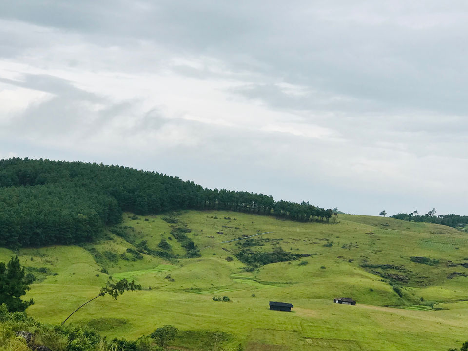 Photo of Meghalaya- 360 Degrees by Nagi Reddy Kaipu