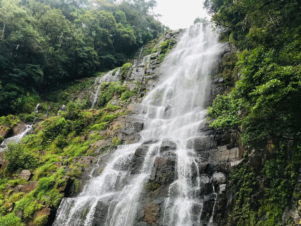 Photo of Meghalaya- 360 Degrees by Nagi Reddy Kaipu